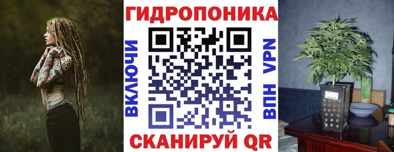 Бошки Шишки марихуана  Дубовка 